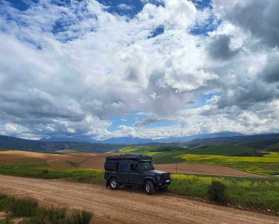 307558878_510184557775869_3143439185219865373_n